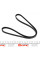 3PK946 DAYCO Ремінь генератора Citroen Jumper/Peugeot Boxer 2.5TD 94-02