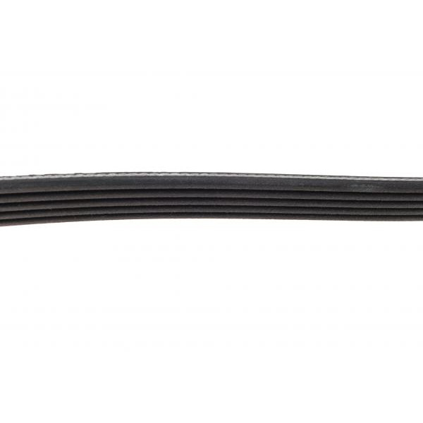 5PK1450 DAYCO Ремінь генератора Opel Astra G/H 1.6/1.8 04-12