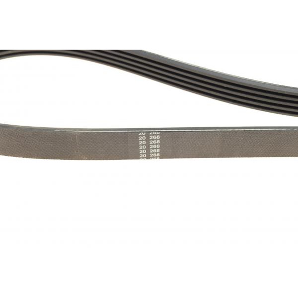 5PK926EE DAYCO Ремінь генератора Fiat Doblo 1.6 01-