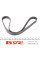 6PK1059EE DAYCO Ремінь генератора Ford Focus 1.6i 03-