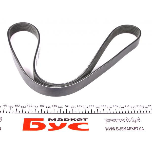 6PK1059EE DAYCO Ремінь генератора Ford Focus 1.6i 03-