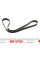 6PK1080HD DAYCO Ремінь генератора Renault Trucks Magnum 12.0i 92-96