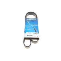 6PK1160 DAYCO Ремінь генератора Citroen Berlingo/Fiat Ducato 1.8 D 96-