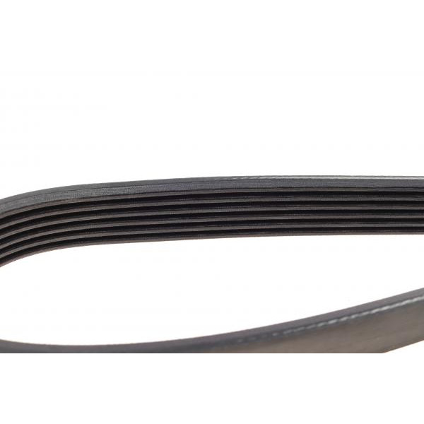 6PK1165 DAYCO Ремінь генератора Citroen Jumper/Peugeot Boxer 3.0HDI