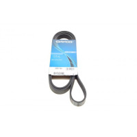 6PK1744 DAYCO Ремінь генератора Peugeot Expert/Citroen Jumpy 1.9D/TD 96-/2.0HDI 00-