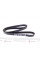 6PK1855 DAYCO Ремінь генератора MB G-class (W461) M102 89-00