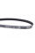 6PK725 DAYCO Ремінь генератора Citroen Berlingo/Jumper/Jumpy/Fiat Ducato/Scudo/Peugeot Boxer/Expert (6PK725)