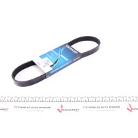 6PK810 DAYCO Ремінь генератора Nissan Almera 1.6i 16V 06-