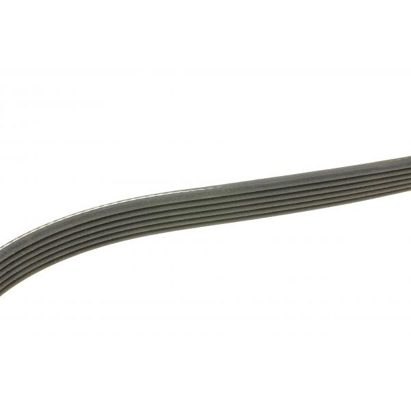 6PK888 DAYCO Ремінь генератора Fiat Scudo/Peugeot Expert 1.6 96-06