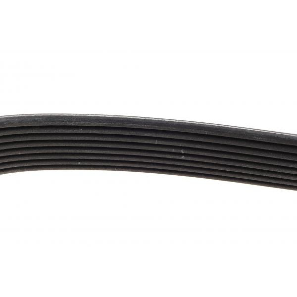8PK1365HD DAYCO Ремінь генератора MB Atego/Axor/Econic/Cito 98-