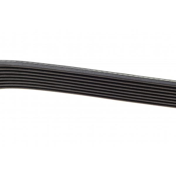 8PK1425HD DAYCO Ремінь генератора MB Vario OM904