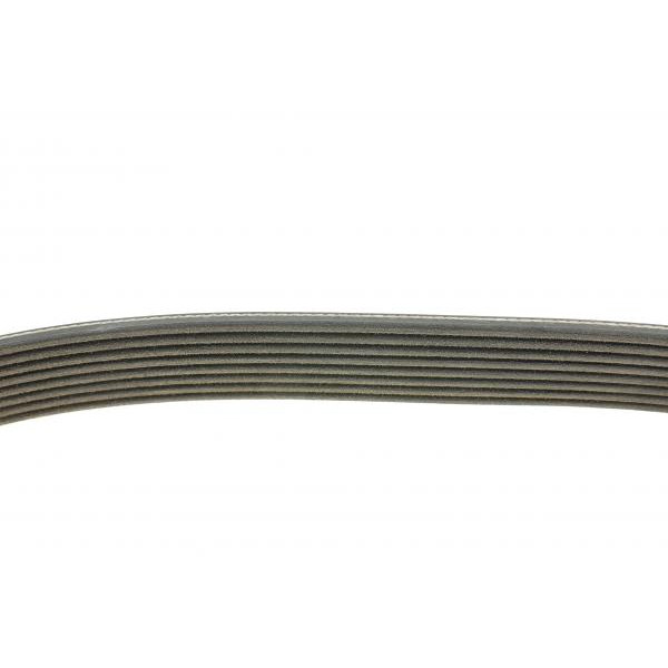8PK1460HD DAYCO Ремінь генератора Daf 45/55/F1000/F600/F800 5.9 91-00