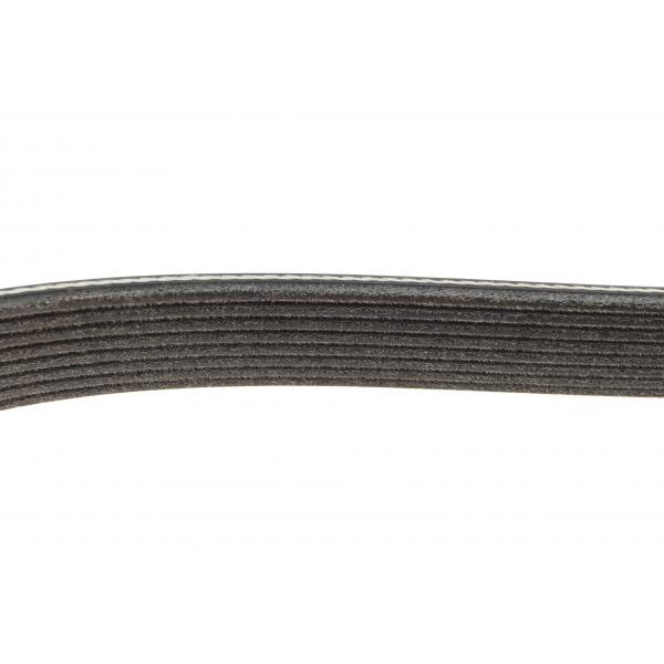 8PK1691HD DAYCO Ремінь генератора Iveco EuroCargo 4.5 13-