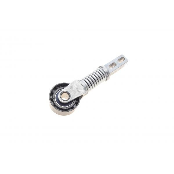 APV2364 DAYCO Натягувач ременя генератора Renault Megane/Scenic 1.9 dCi 97-03