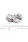 APV2498 DAYCO Натягувач ременя генератора Renault Scenic/Megane II/III 1.9dCi/2.0 16V 03-