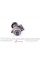 APV3904 DAYCO Ролик генератора Citroen C4/C5/Peugeot Expert 2.0HDi 09-(натяжний) (65х25)