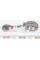 KBIO01 DAYCO Касета ланцюга ГРМ Ford Connect 1.8TDCI (75-90-110PS) 07-