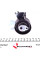 KTB967 DAYCO Комплект ГРМ Peugeot Expert/Citroen Jumpy 2.0HDI 10-