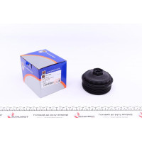 ES1204 DP Кришка фільтру масляного Ford Transit 2.4D 00-