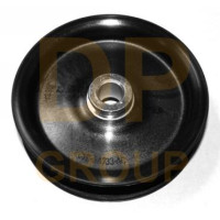 SS1079MNJ DP Шкив насоса ГУР Ford Transit V184 00-