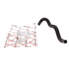 SS81692NRN DP Шланг гідропідсилювача Ford Connect 1.8Di/TDCi 02-13