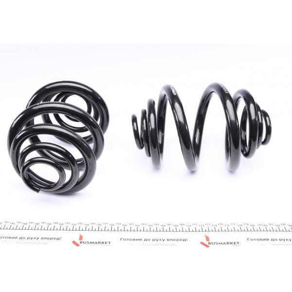 E8539120 EIBACH Комплект пружин (задніх) (Pro-Kit) VW T4 90-03