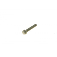039000 ELRING Болт кріплення кришки шатуна VW Caddy III/IV/T6 04- (M8x1)