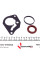 382421 ELRING Комплект прокладок (верхній) Renault Kangoo/Scenic 1.5dCi 03-