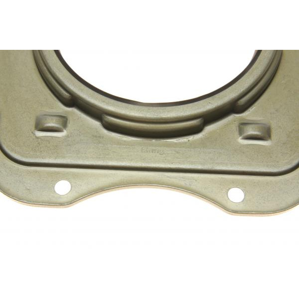 437370 ELRING Комплект прокладок (нижній) Citroen Jumper/Peugeot Boxer 2.2 HDi 06-