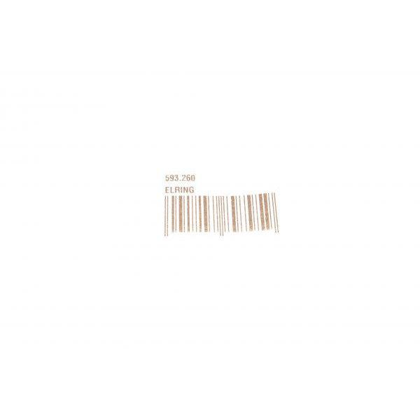 593260 ELRING Гайка колектора випускного BMW (M7x1.0mm) (к-кт 10шт)
