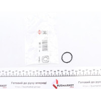 725210 ELRING Прокладка кришки клапанів VW Caddy III/Golf V/VI 1.4-1.6 (для гнізда свічок запалювання)