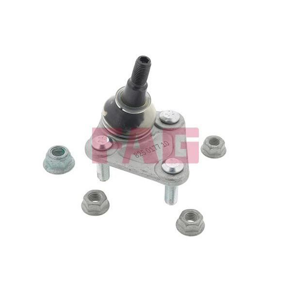 825017710 FAG Опора кульова (передня/знизу) Audi A3 99-03/TT 98-06/Golf IV 02-05