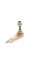 840143210 FAG Наконечник рульової тяги (R) Renault Espace V/Megane IV/Talisman 15-/Scenic IV/Grand Scenic IV 16-