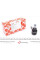 01713 FEBI BILSTEIN Наконечник рульової тяги (L) MB S-class (W126/W108/W109/C126) 67-91 (L=93mm)
