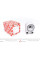 102577 FEBI BILSTEIN Радіатор масляний Renault Kangoo/Megane II/III 1.5dCi 02- (теплообмінник)