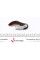 108039 FEBI BILSTEIN Комплект ланцюга насоса масляного Opel Astra/Insignia/Zafira 1.6D 13-