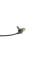 173619 FEBI BILSTEIN Датчик ABS (передний) Renault Clio II/Kangoo/Twingo 1.2-2.0 16V 02-