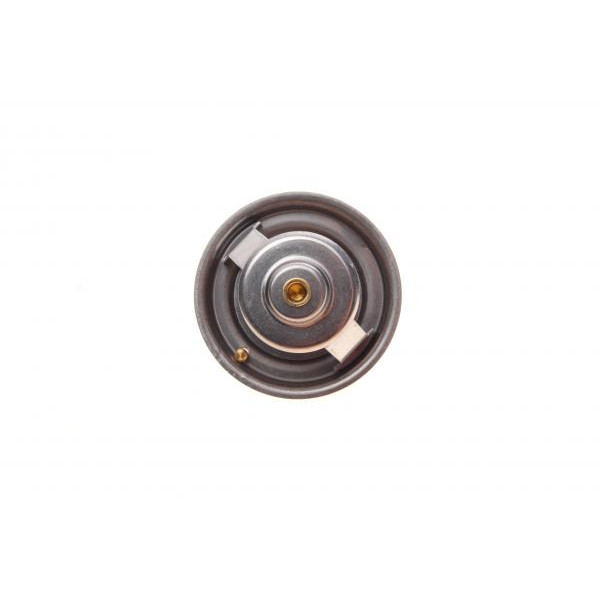 17898 FEBI BILSTEIN Термостат VW LT 28-35/44-55/T4/T5 2.4D/2.5TDi/2.8 VR6 78-09