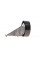 30584 FEBI BILSTEIN Ролик генератора VW Golf VI/Passat 2.5 20V 08-16 (паразитний) (73х22)