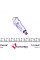 36592 FEBI BILSTEIN Комплект ланцюга ГРМ MB OM601-603 95-10 (+зірочки)