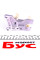 45006 FEBI BILSTEIN Комплект ланцюга ГРМ VW Golf/Passat 2.0 FSI 04-10