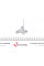 45007 FEBI BILSTEIN Комплект цепи ГРМ Audi A4/A5/A6/Q5/Q7/VW Touareg 3.0 TDI 02-18 (z=106/104/72/58)