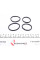 238066 FRENKIT Ремкомплект супорту (переднього) Nissan 350 Z/Jaguar S-Type/XJ 02-09 (d=38/44mm) (Brembo)