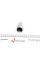 238964 FRENKIT Ремкомплект супорта (заднього) MB C-class/E-class 07- (d=38mm) (Ate) (+поршень)