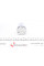 243938 FRENKIT Ремкомплект супорта (заднього) Audi A6/A7/A8 04- (d=43) (+поршень) (TRW)