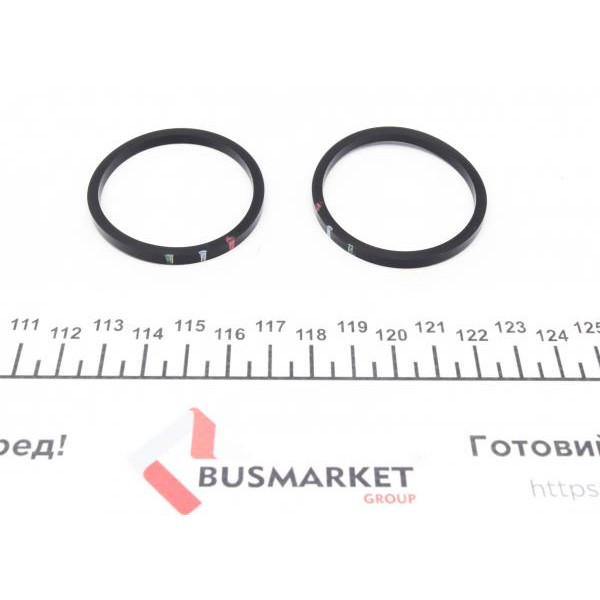 244918 FRENKIT Ремкомплект супорту (переднього) Iveco Daily 99-06 (d=44mm) (+2 поршня) (Brembo)