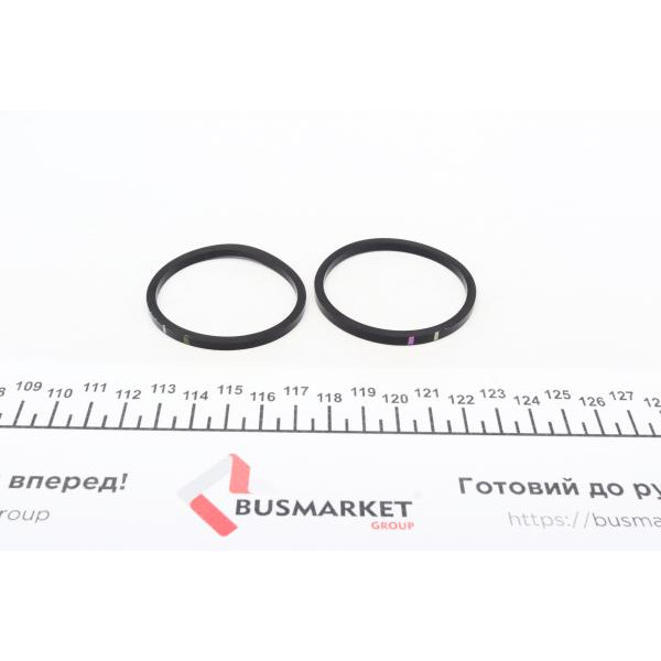 245941 FRENKIT Ремкомплект супорта (переднього) Peugeot Expert/Citroen Jumpy 06- (d=45mm) (+2 поршня) (TRW)