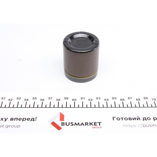 248973 FRENKIT Ремкомплект супорта (заднього) Jeep Cherokee/Grand Cherokee 99-10 (d=48mm) (+поршень) (Ate)