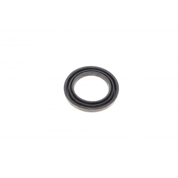 248983 FRENKIT Ремкомплект супорта (переднього) Peugeot J9/J7 70-87 (d=48mm) (+2 поршня) (Bendix)