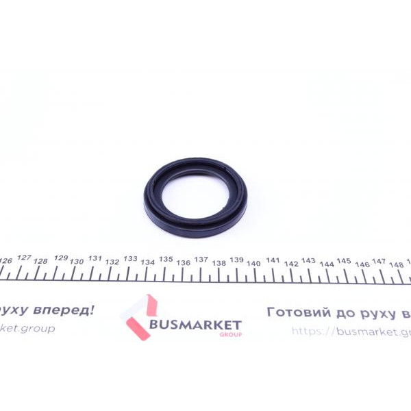 252904 FRENKIT Ремкомплект супорта (заднього) Iveco Daily 99- (d=52mm) (+поршень) (Brembo)